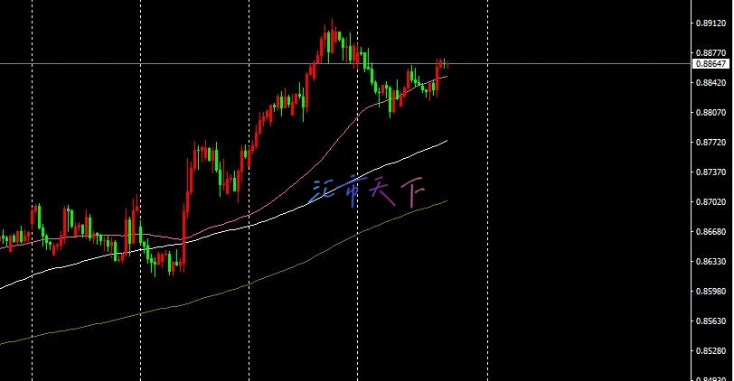 USDCHF价格失去动力 – 今日预测 - 2024 年 11 月 22 日