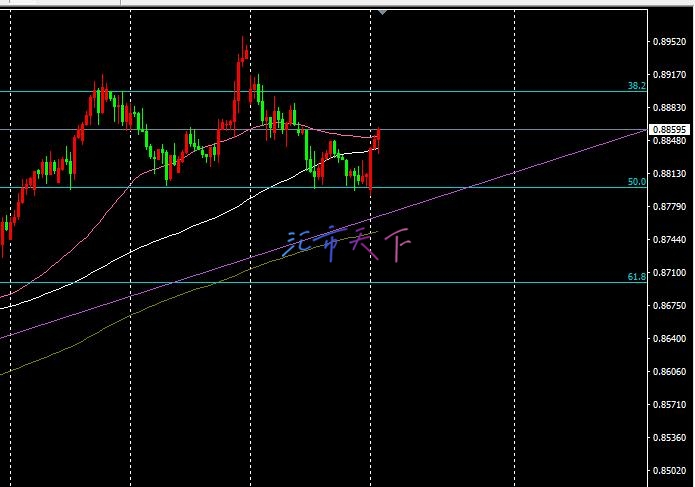 USDCHF 价格开始上涨 – 今日预测 - 2024 年 12 月 2 日