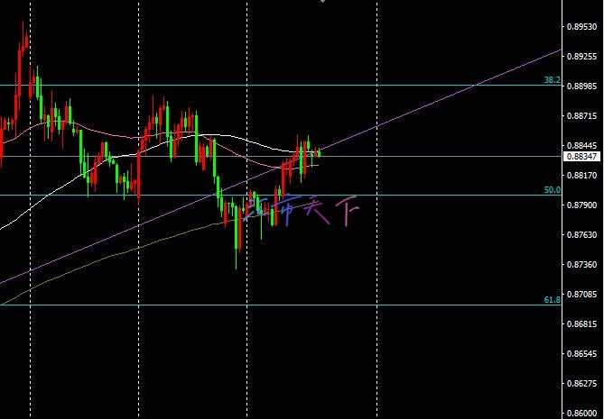 USDCHF价格积聚积极势头 – 今日预测 - 2024 年 12 月 12 日